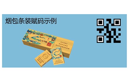 小平張可變數據噴印系統